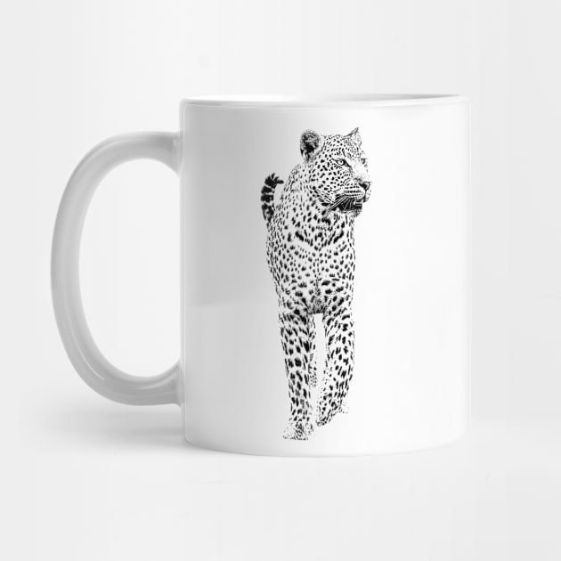 Leopard on the Prowl in Graphic Black and White by scotch